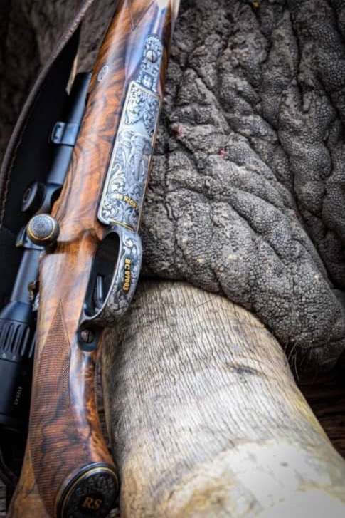 Dangerous Game Hunting