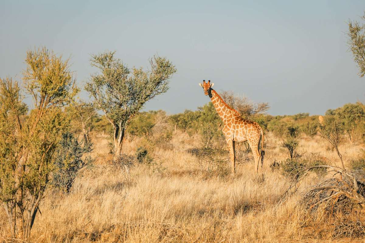 Private Tours in Namibia