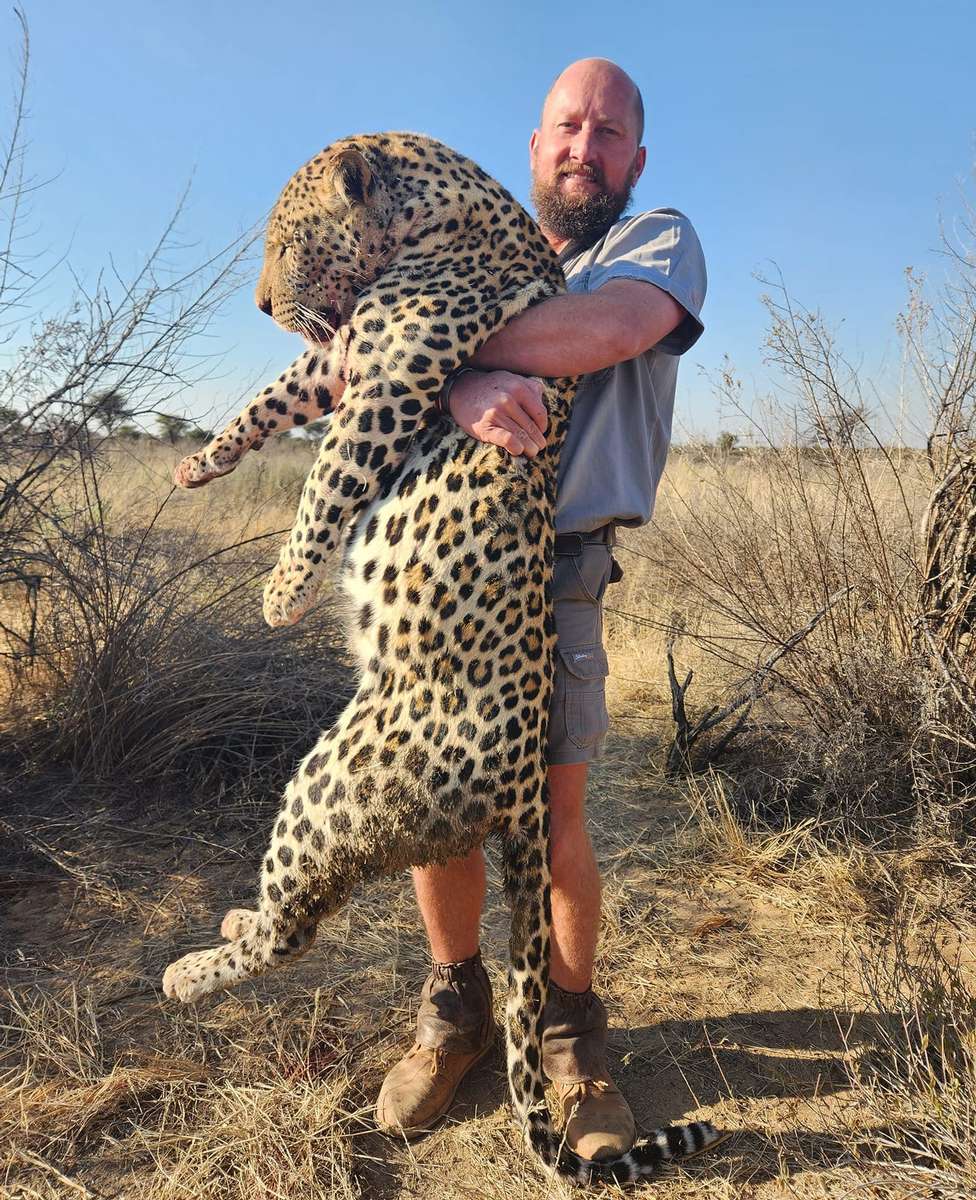Namibia Leopard Hunting in Namibia
